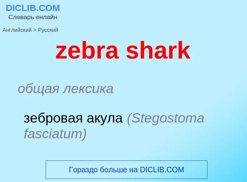 Как переводится zebra shark на Русский язык