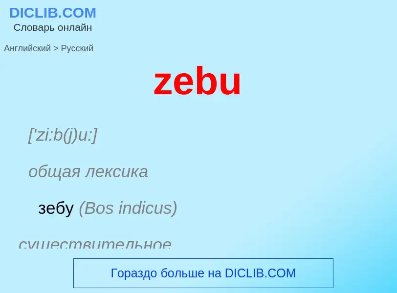 Как переводится zebu на Русский язык