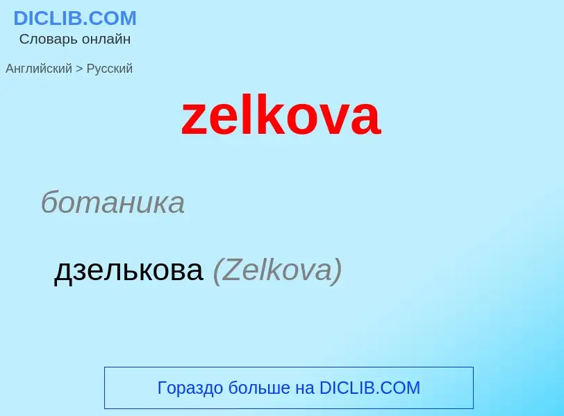 Como se diz zelkova em Russo? Tradução de &#39zelkova&#39 em Russo