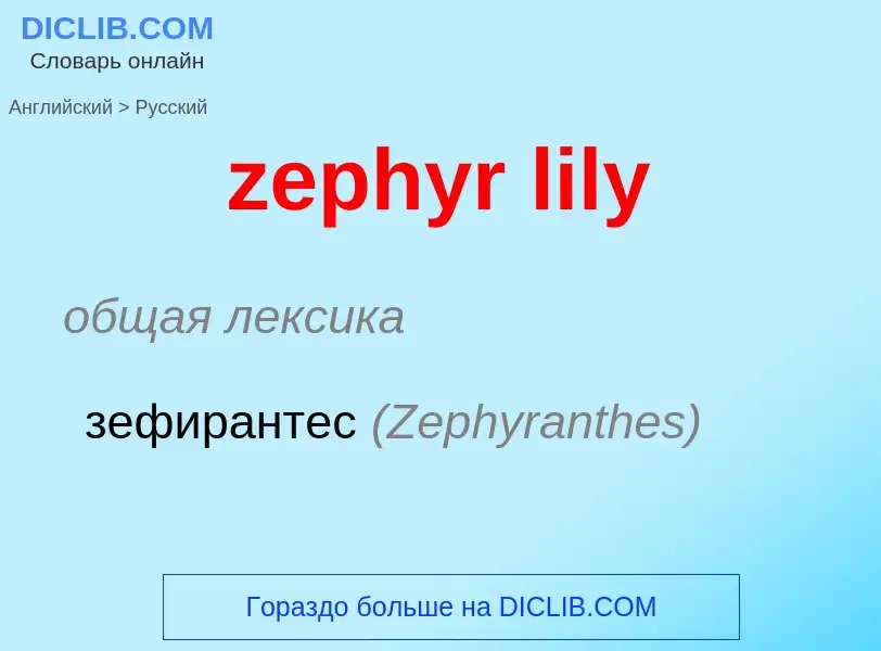 Как переводится zephyr lily на Русский язык