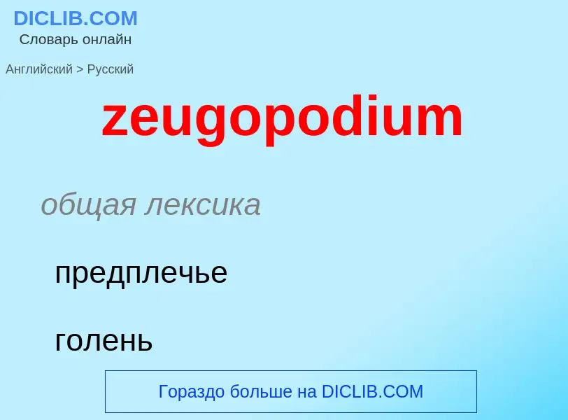 Μετάφραση του &#39zeugopodium&#39 σε Ρωσικά