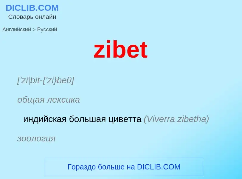 Μετάφραση του &#39zibet&#39 σε Ρωσικά