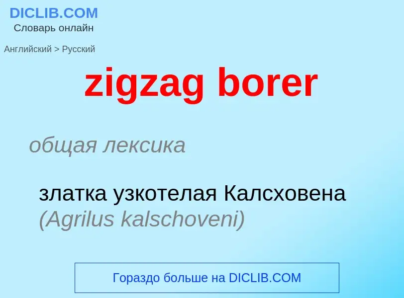 Μετάφραση του &#39zigzag borer&#39 σε Ρωσικά