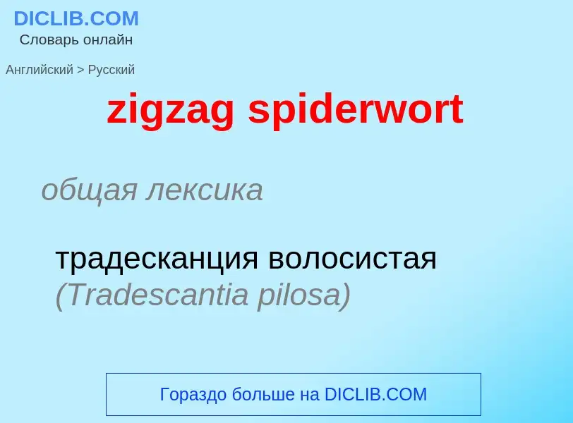 Μετάφραση του &#39zigzag spiderwort&#39 σε Ρωσικά