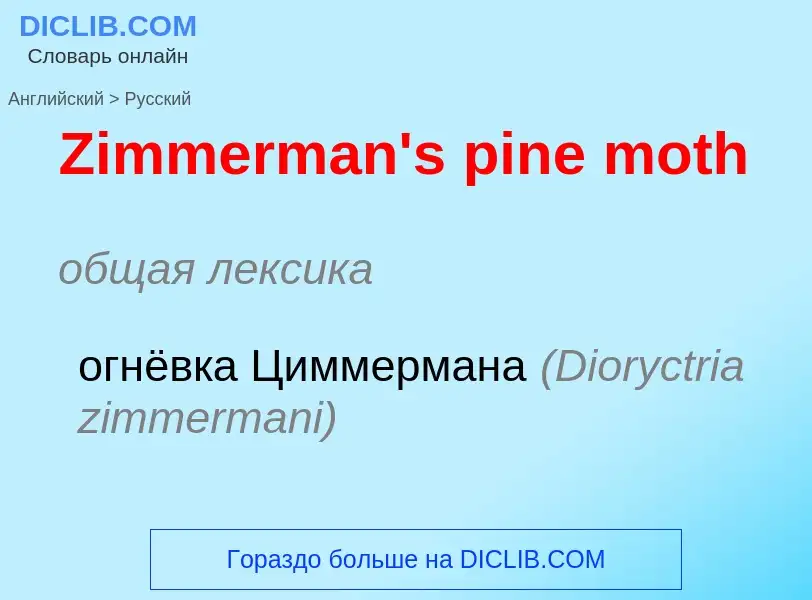 Como se diz Zimmerman's pine moth em Russo? Tradução de &#39Zimmerman's pine moth&#39 em Russo