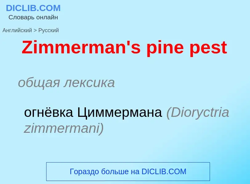 Como se diz Zimmerman's pine pest em Russo? Tradução de &#39Zimmerman's pine pest&#39 em Russo