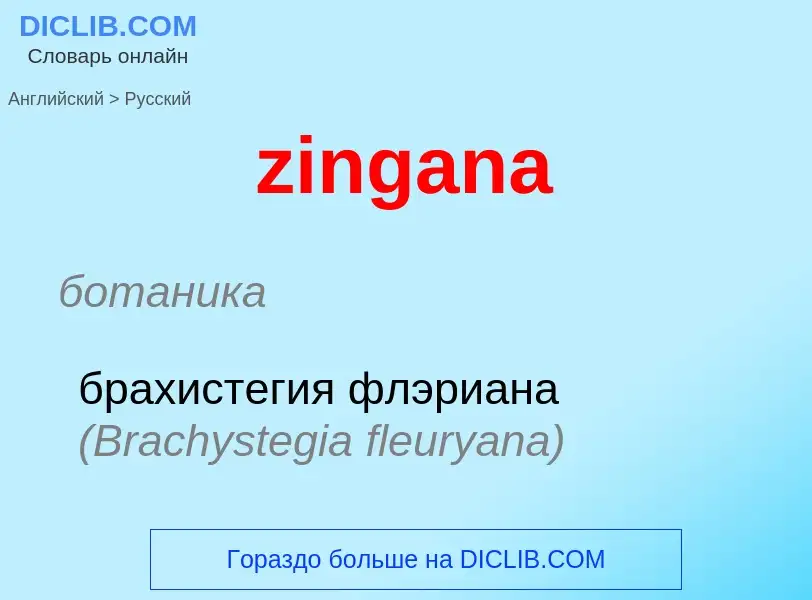 Como se diz zingana em Russo? Tradução de &#39zingana&#39 em Russo