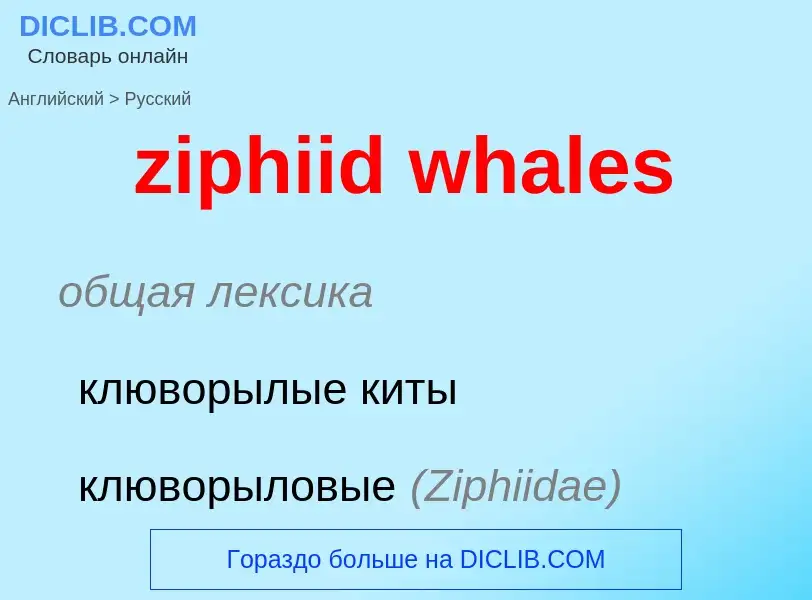 Traduction de &#39ziphiid whales&#39 en Russe