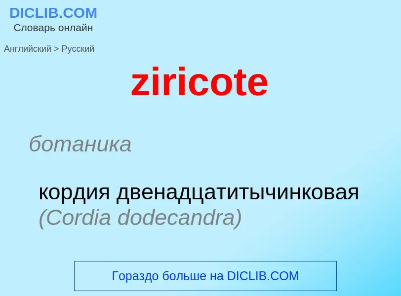 Übersetzung von &#39ziricote&#39 in Russisch