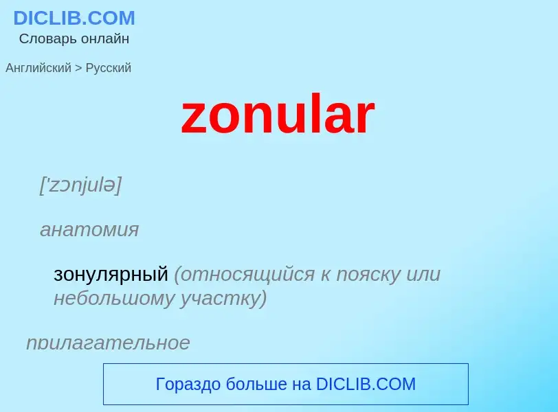 ¿Cómo se dice zonular en Ruso? Traducción de &#39zonular&#39 al Ruso