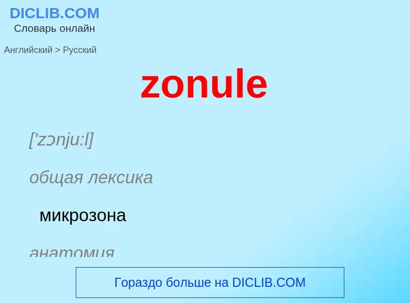 Übersetzung von &#39zonule&#39 in Russisch