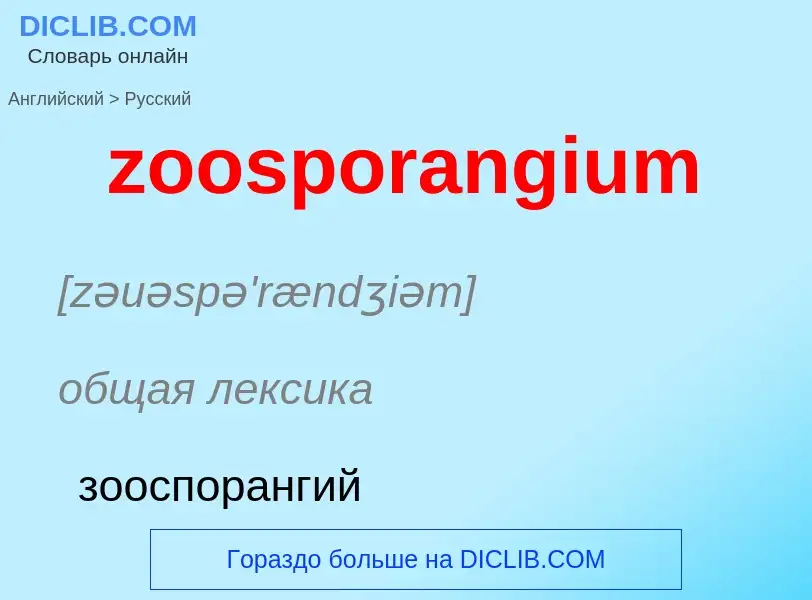 ¿Cómo se dice zoosporangium en Ruso? Traducción de &#39zoosporangium&#39 al Ruso