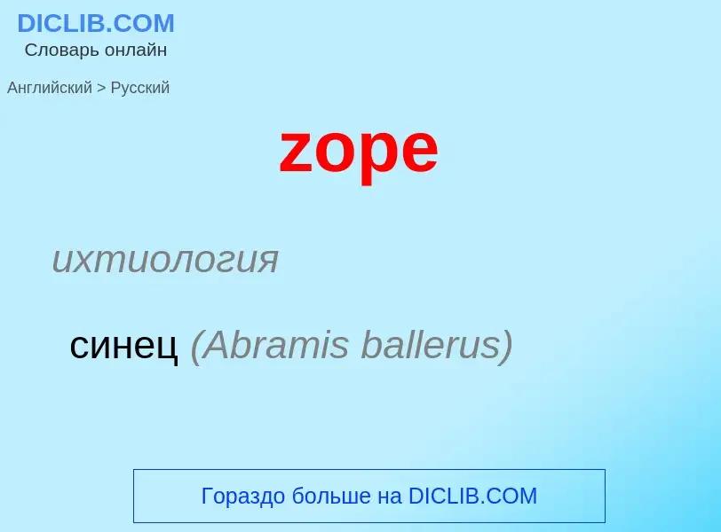 Как переводится zope на Русский язык