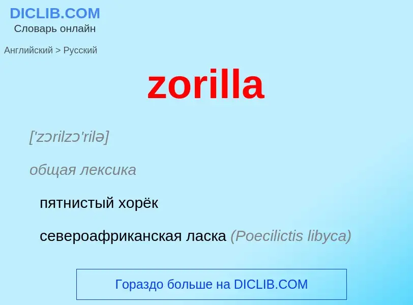 Как переводится zorilla на Русский язык