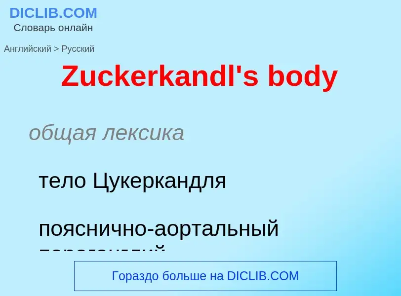 ¿Cómo se dice Zuckerkandl's body en Ruso? Traducción de &#39Zuckerkandl's body&#39 al Ruso