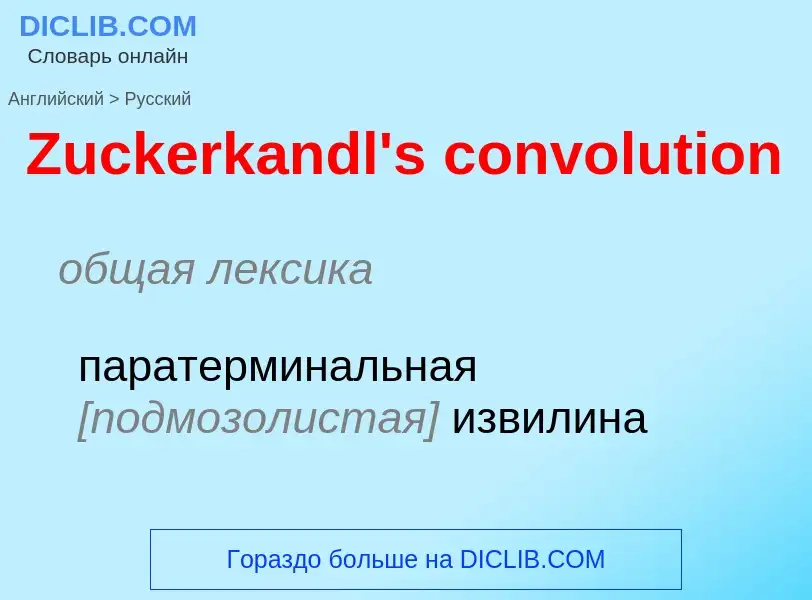 Μετάφραση του &#39Zuckerkandl's convolution&#39 σε Ρωσικά