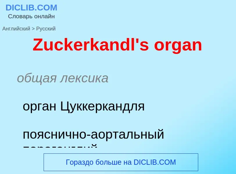 Μετάφραση του &#39Zuckerkandl's organ&#39 σε Ρωσικά