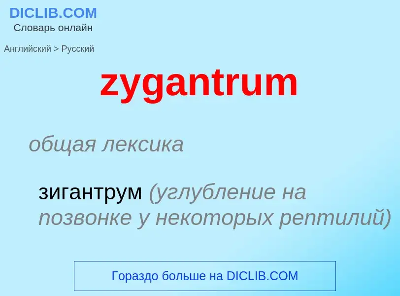 ¿Cómo se dice zygantrum en Ruso? Traducción de &#39zygantrum&#39 al Ruso