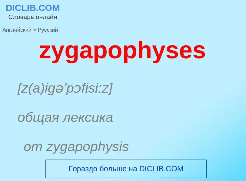 Como se diz zygapophyses em Russo? Tradução de &#39zygapophyses&#39 em Russo