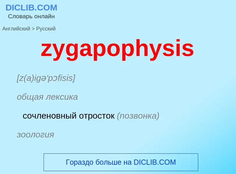 ¿Cómo se dice zygapophysis en Ruso? Traducción de &#39zygapophysis&#39 al Ruso