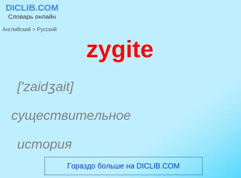 ¿Cómo se dice zygite en Ruso? Traducción de &#39zygite&#39 al Ruso