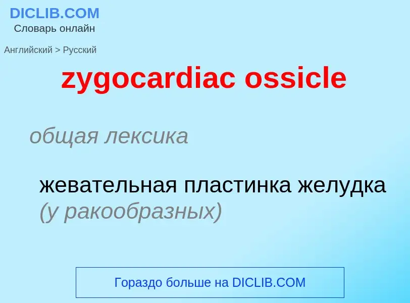 Μετάφραση του &#39zygocardiac ossicle&#39 σε Ρωσικά