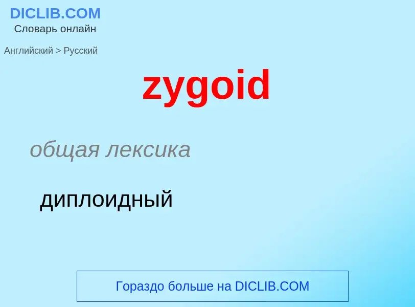 ¿Cómo se dice zygoid en Ruso? Traducción de &#39zygoid&#39 al Ruso