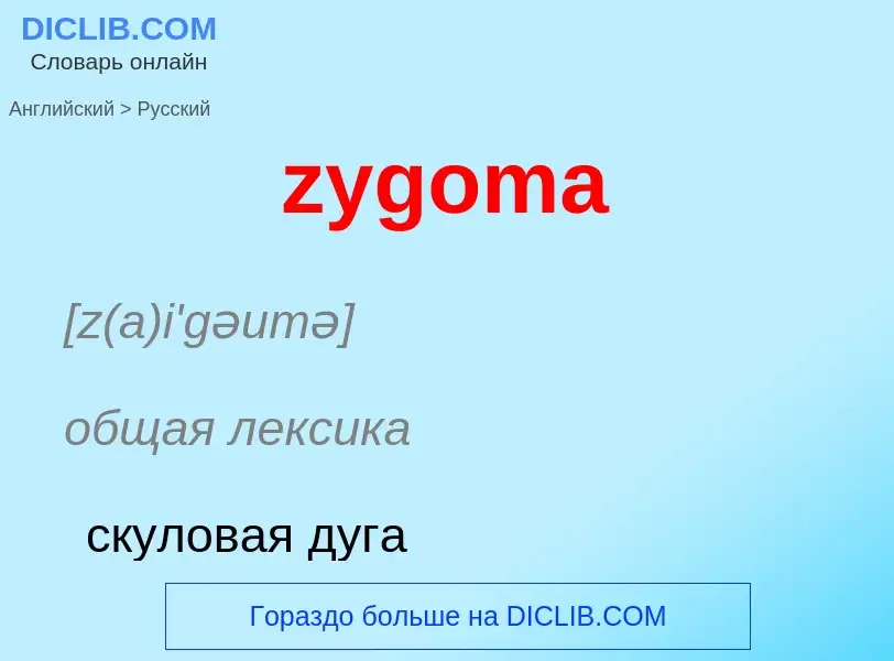 ¿Cómo se dice zygoma en Ruso? Traducción de &#39zygoma&#39 al Ruso