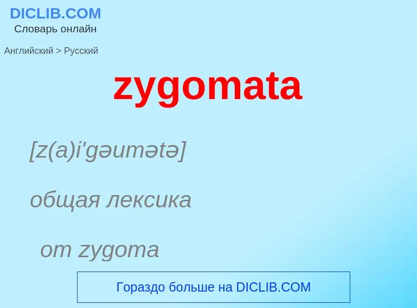 ¿Cómo se dice zygomata en Ruso? Traducción de &#39zygomata&#39 al Ruso