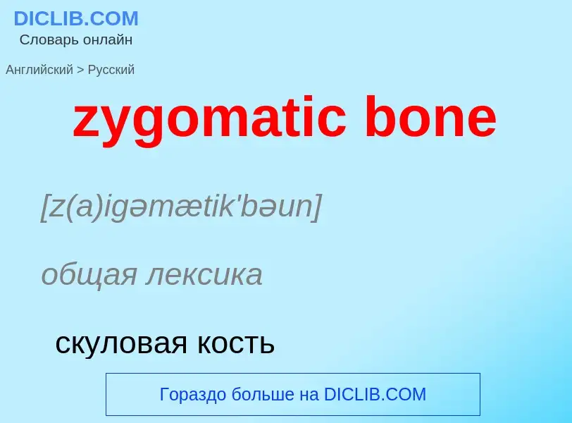 Μετάφραση του &#39zygomatic bone&#39 σε Ρωσικά