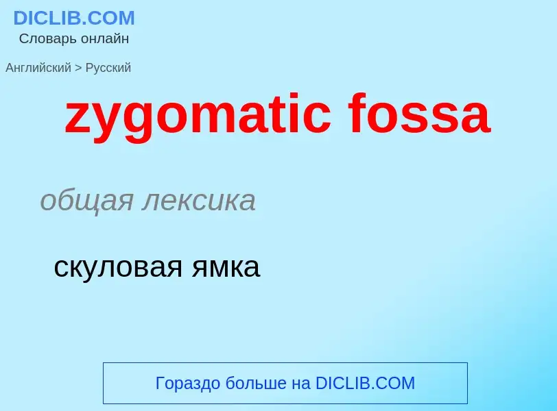 Μετάφραση του &#39zygomatic fossa&#39 σε Ρωσικά