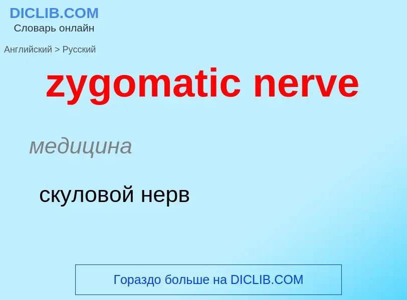 What is the الروسية for zygomatic nerve? Translation of &#39zygomatic nerve&#39 to الروسية