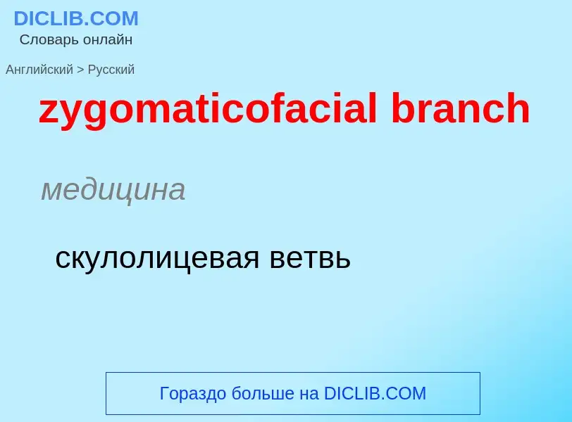 Como se diz zygomaticofacial branch em Russo? Tradução de &#39zygomaticofacial branch&#39 em Russo