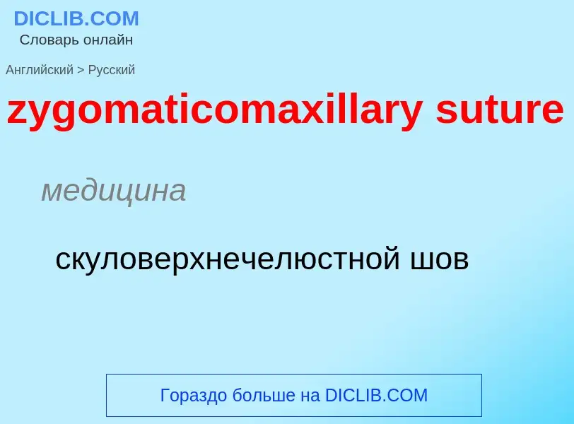 Как переводится zygomaticomaxillary suture на Русский язык