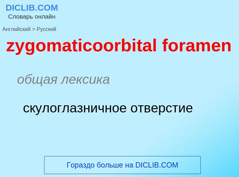 Como se diz zygomaticoorbital foramen em Russo? Tradução de &#39zygomaticoorbital foramen&#39 em Rus