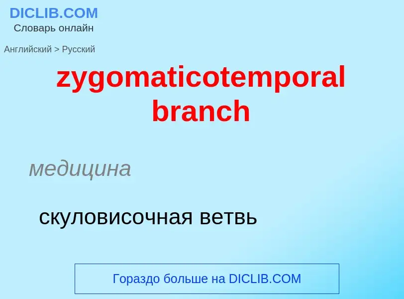 Como se diz zygomaticotemporal branch em Russo? Tradução de &#39zygomaticotemporal branch&#39 em Rus