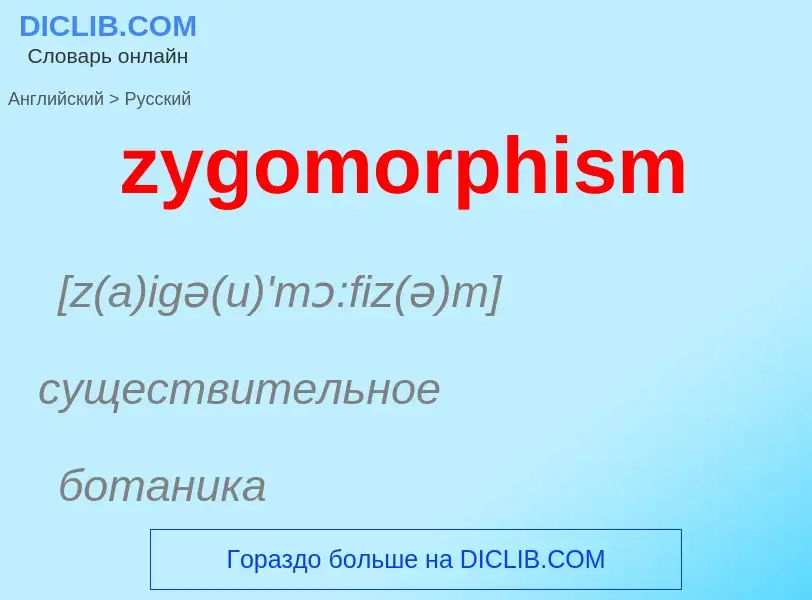 Como se diz zygomorphism em Russo? Tradução de &#39zygomorphism&#39 em Russo