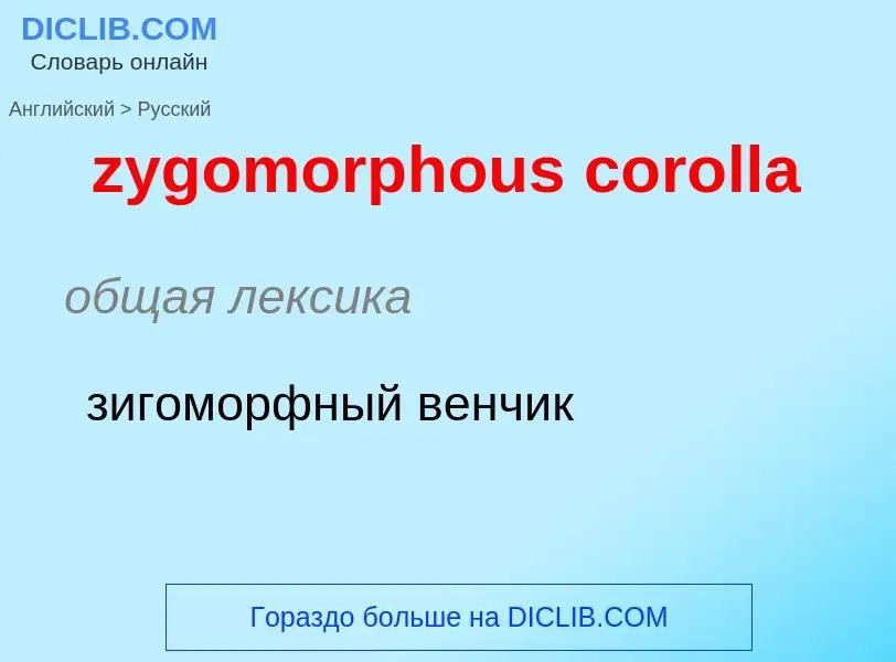 ¿Cómo se dice zygomorphous corolla en Ruso? Traducción de &#39zygomorphous corolla&#39 al Ruso