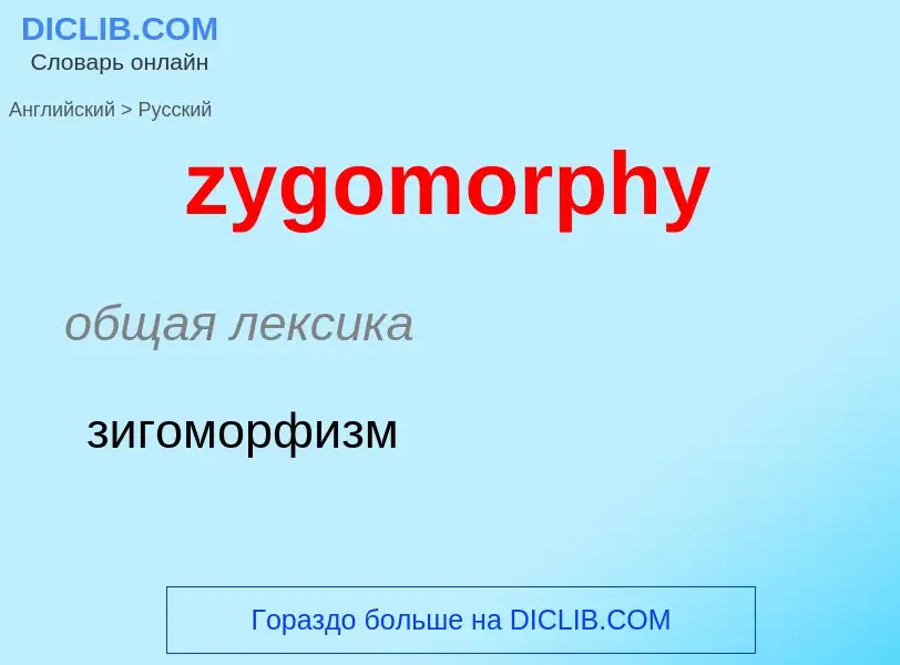 ¿Cómo se dice zygomorphy en Ruso? Traducción de &#39zygomorphy&#39 al Ruso