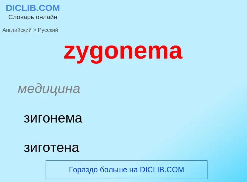 Как переводится zygonema на Русский язык