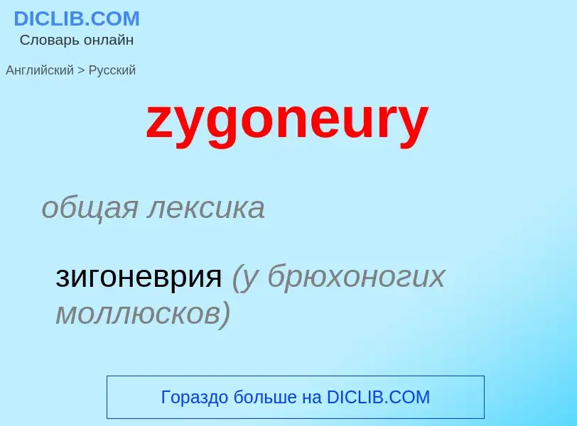 Как переводится zygoneury на Русский язык