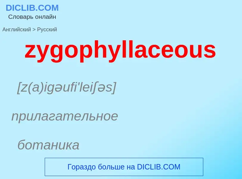 Как переводится zygophyllaceous на Русский язык