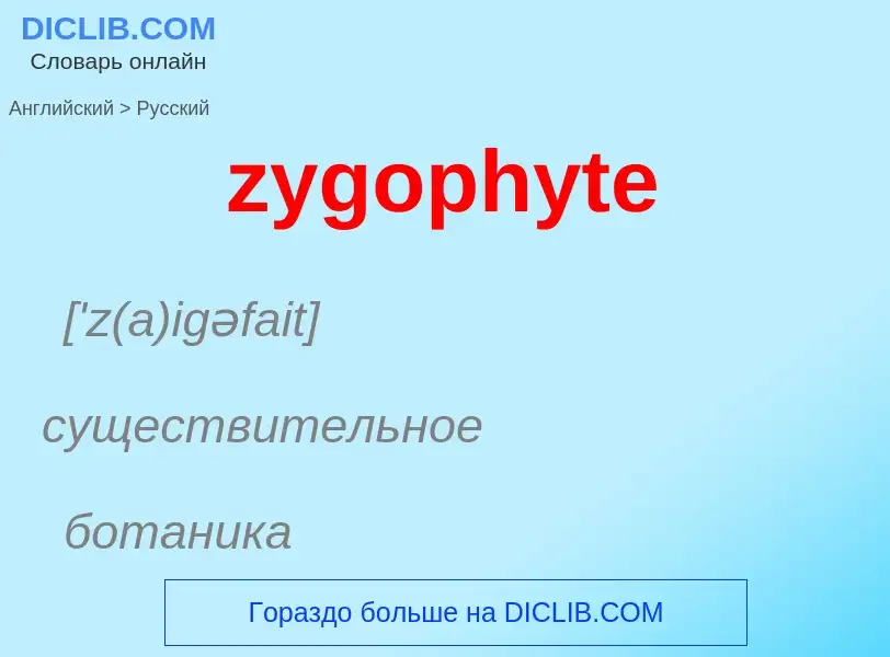 ¿Cómo se dice zygophyte en Ruso? Traducción de &#39zygophyte&#39 al Ruso