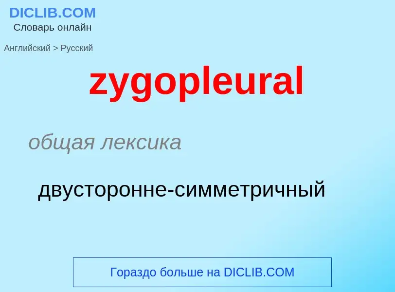 Как переводится zygopleural на Русский язык