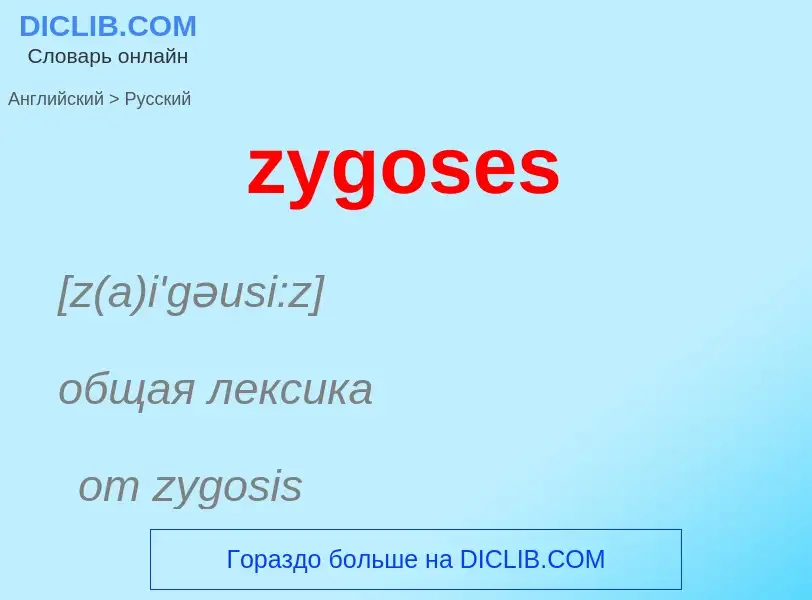 Como se diz zygoses em Russo? Tradução de &#39zygoses&#39 em Russo