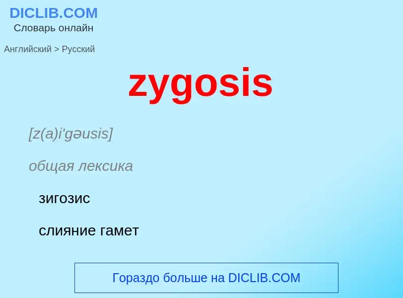 ¿Cómo se dice zygosis en Ruso? Traducción de &#39zygosis&#39 al Ruso