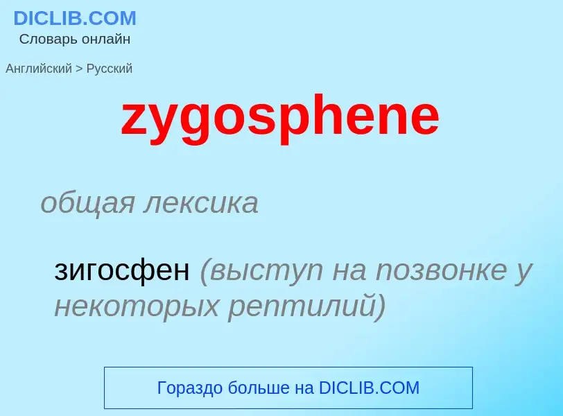 Как переводится zygosphene на Русский язык