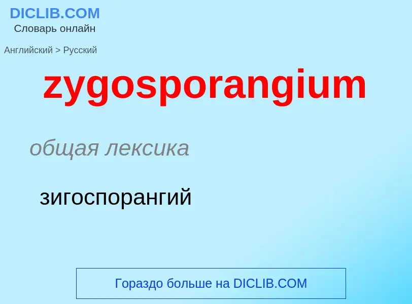 Como se diz zygosporangium em Russo? Tradução de &#39zygosporangium&#39 em Russo