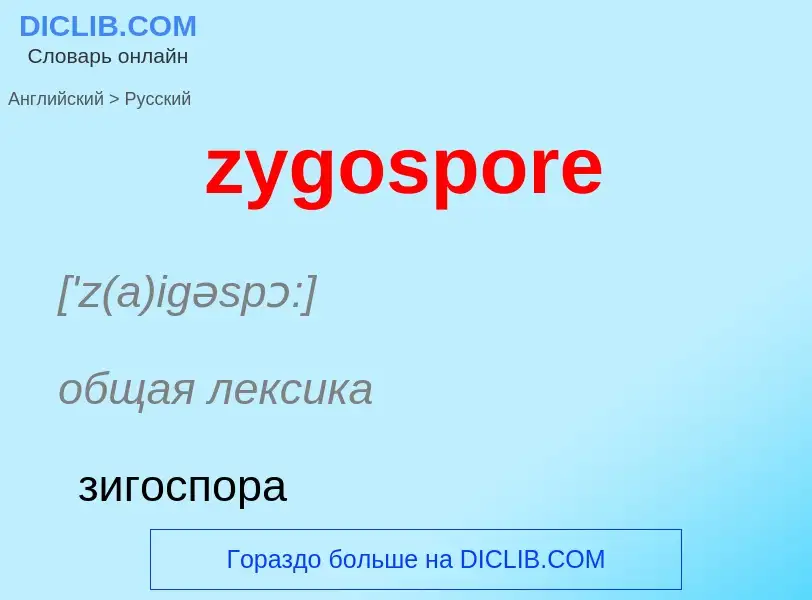 Como se diz zygospore em Russo? Tradução de &#39zygospore&#39 em Russo