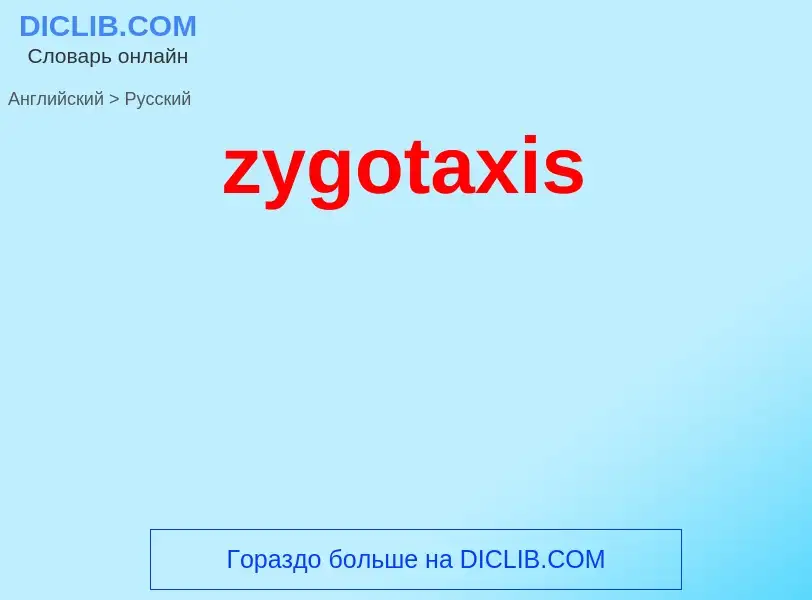 Как переводится zygotaxis на Русский язык